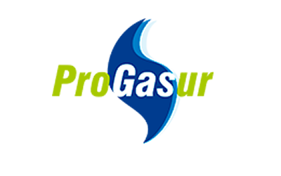 Progasur